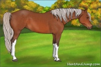 Horse Color:Silver Brown 
