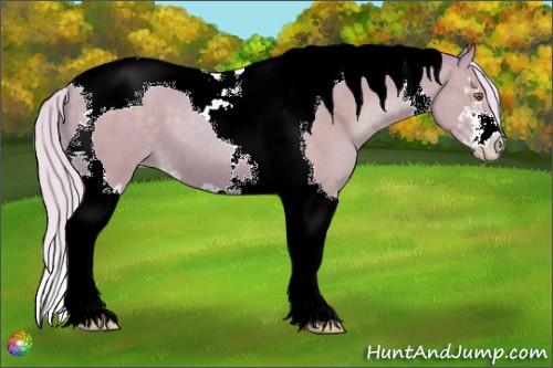 Horse Color:Watercolor Silver Black Pearl Sabino Tobiano 