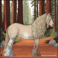 Horse Color:White Spotted Red Dun