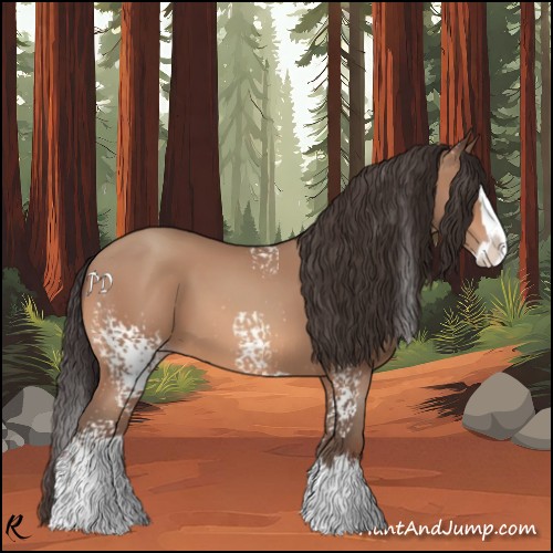 Horse Color:White Spotted Sable Champagne Splash 