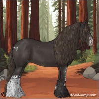 Horse Color:White Spotted Smoky Black Appaloosa Rabicano 