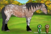 Horse Color:Brown Ice 
