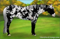 Horse Color:Brown Ice Sabino 