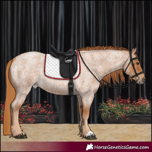 Horse Color:Red Roan 