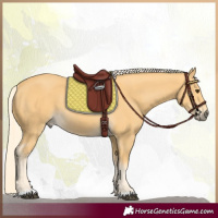 Horse Color:Palomino 
