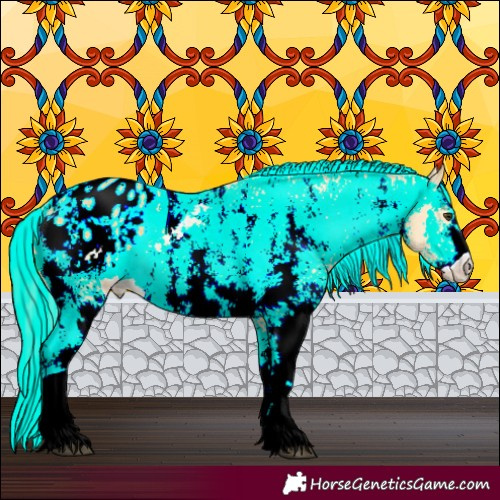 Horse Color:Palomino Sabino Appaloosa 