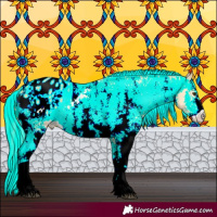 Horse Color:Palomino Sabino Appaloosa 