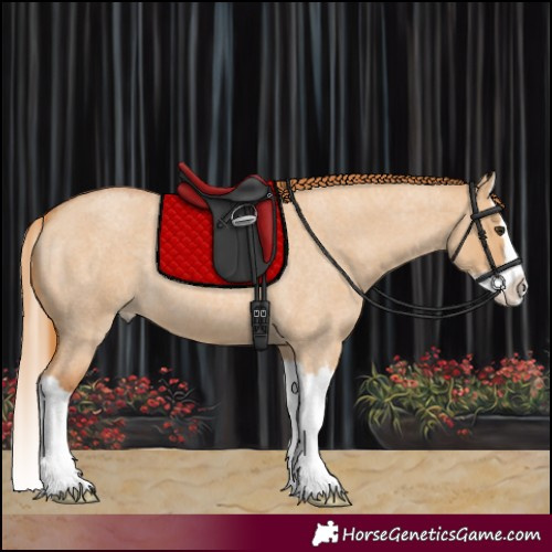 Horse Color:Red Dun Roan Splash 