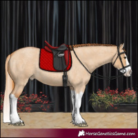 Horse Color:Red Dun Roan Splash 
