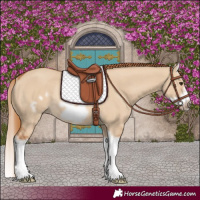 Horse Color:Red Dun Splash Frame Rabicano