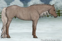 Horse Color:Silver Blue Roan Sabino 