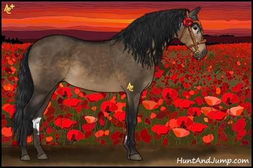 Horse Color:Gray Brown Dun