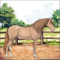 Horse Color:Gold Champagne Varnish 