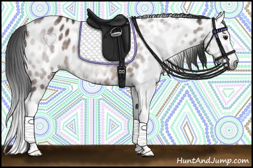 Horse Color:Gray Bay Splash Leopard