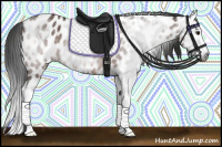 Horse Color:Gray Bay Splash Leopard