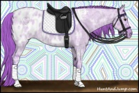 Horse Color:Watercolor Red Dun Ice Roan Appaloosa