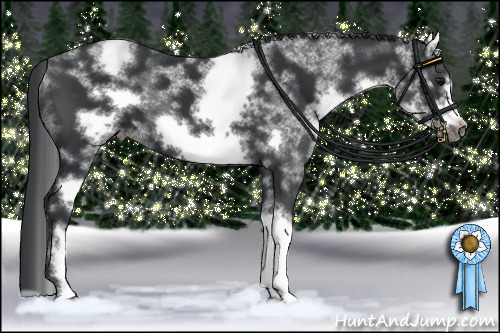 Horse Color:White Spotted Black Sabino Frame