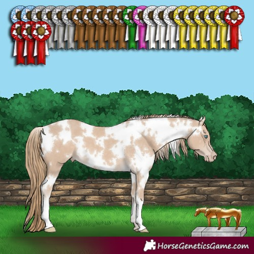 Horse Color:White Spotted Smoky Creme 