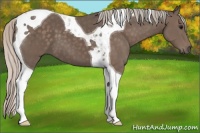 Horse Color:Silver Black Tobiano 