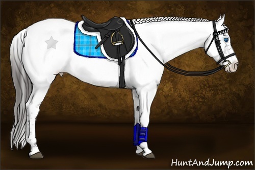 Horse Color:Liver Chestnut Frame