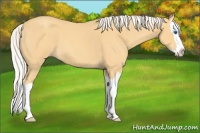 Horse Color:Silver Amber Cream Champagne Roan Splash