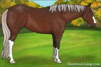 Horse Color:Silver Bay 