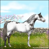 Horse Color:White Spotted Liver Chestnut Mushroom Frame 