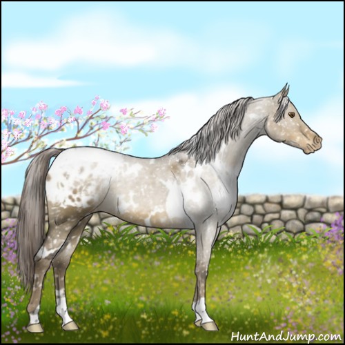 Horse Color:White Spotted Chocolate Palomino Dun Mushroom Blanket 