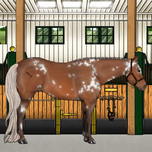 Horse Color:White Spotted Silver Bay 