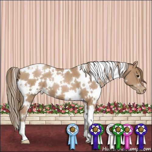 Horse Color:White Spotted Black Pearl 