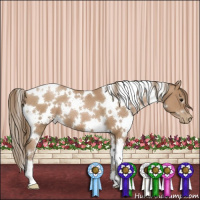 Horse Color:White Spotted Black Pearl 