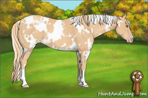 Horse Color:White Spotted Gold Champagne 