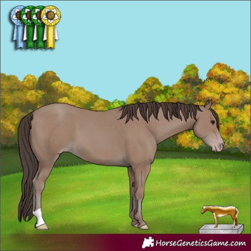 Horse Color:Classic Champagne 