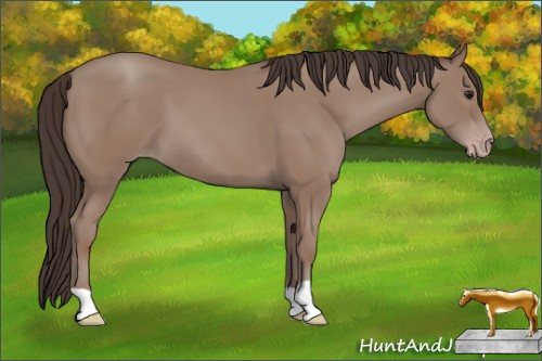 Horse Color:Classic Champagne 