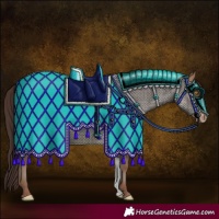 Horse Color:Sable Champagne Appaloosa