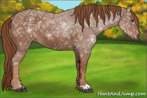 Horse Color:Chestnut Ice 
