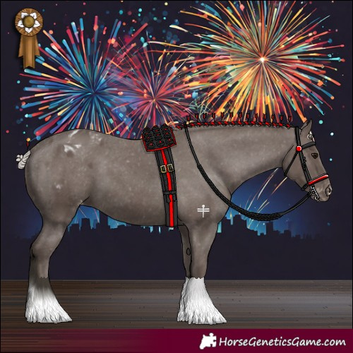 Horse Color:Silver Black Appaloosa 