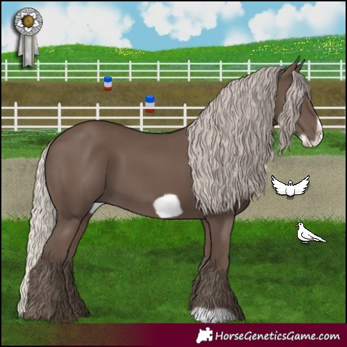 Horse Color:Silver Black Frame 