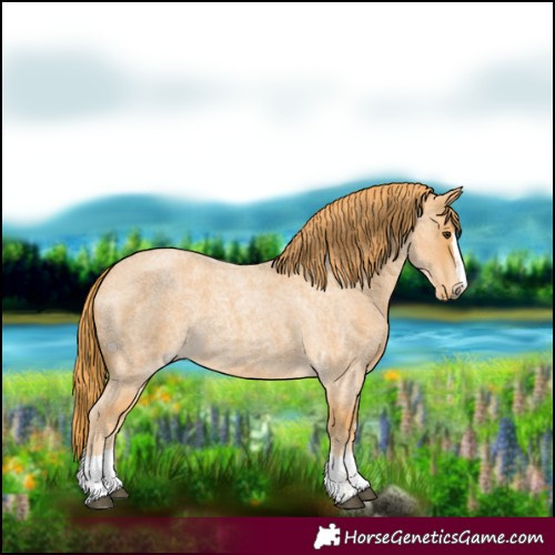 Horse Color:Red Roan 