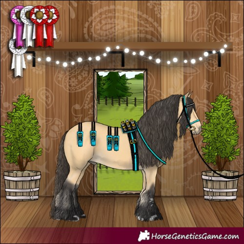 Horse Color:Buckskin 