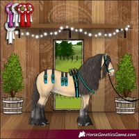 Horse Color:Buckskin 