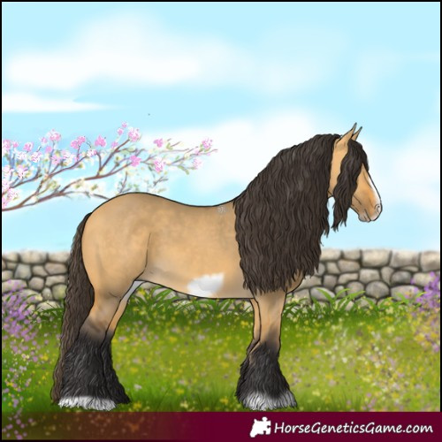 Horse Color:Buckskin Dun Frame 