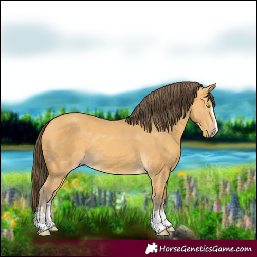 Horse Color:Amber Cream Champagne 