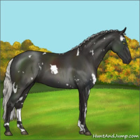 Horse Color:White Spotted Liver Chestnut Mushroom 
