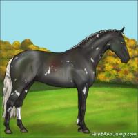 Horse Color:White Spotted Liver Chestnut Mushroom 