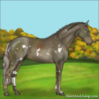 Horse Color:White Spotted Chocolate Palomino Mushroom 