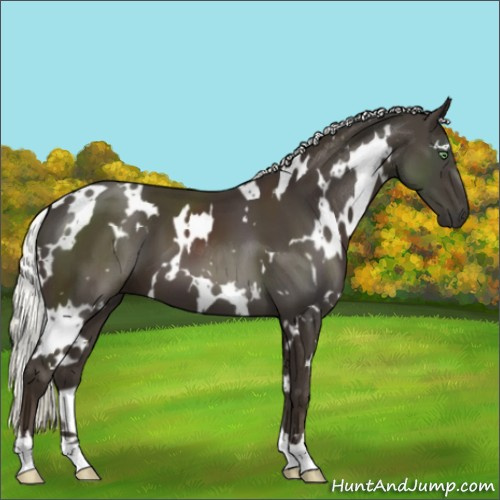 Horse Color:White Spotted Liver Chestnut Mushroom 