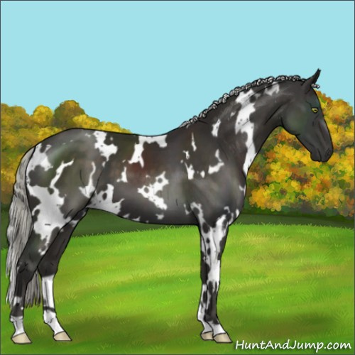 Horse Color:White Spotted Liver Chestnut Mushroom 