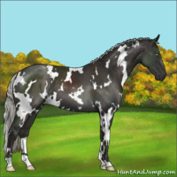 Horse Color:White Spotted Liver Chestnut Mushroom 