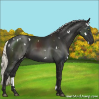 Horse Color:White Spotted Liver Chestnut Mushroom 